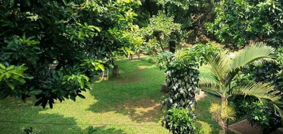 Green Urban Tour Bekasi (GREAT) Bekasi