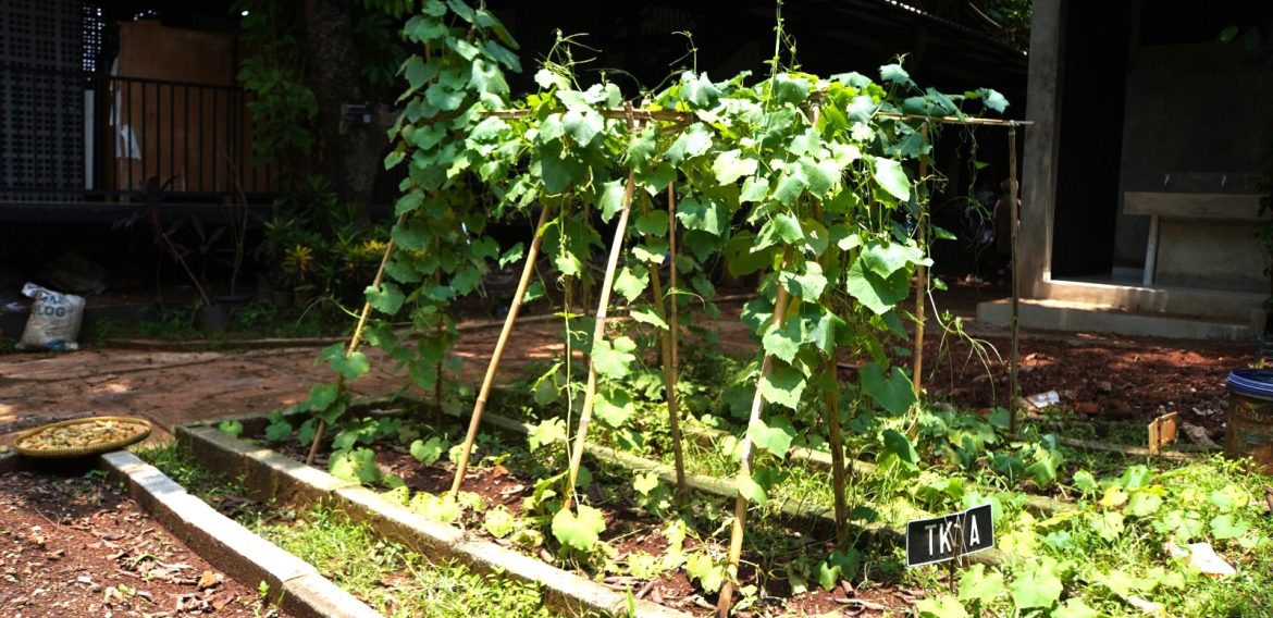 7 Cara Warga Kota Bisa Ikut Menjaga Bumi (Tanpa Harus Pindah ke Desa)